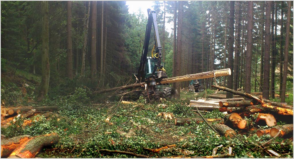 Holzflle- und Rckebetrieb Franz Geisler